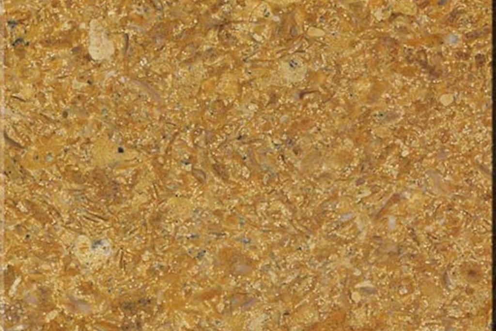 Flowery Gold Sandstone