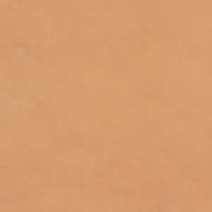 Jodhpur Beige Sandstone