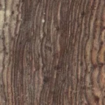 Jodhpur Brown Sandstone