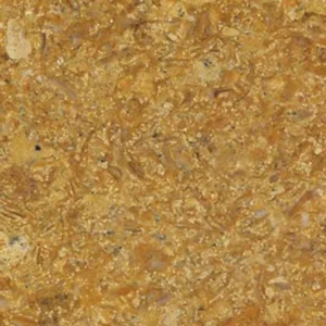 Flowery gold sandstone